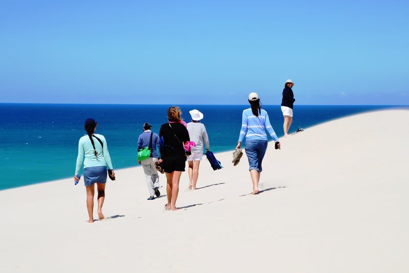 De Hoop Collection 2