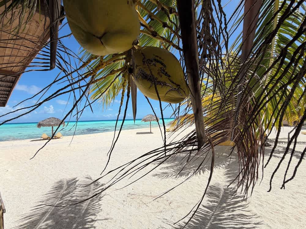 Te Manu Lodge Tikehau 2
