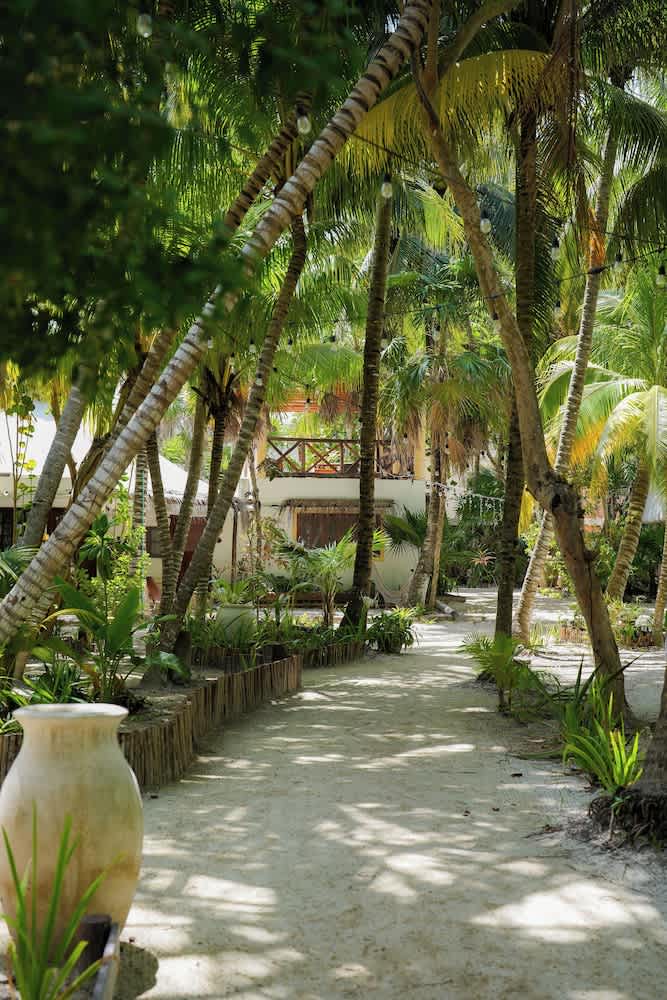Zomay Beachfront Holbox 1
