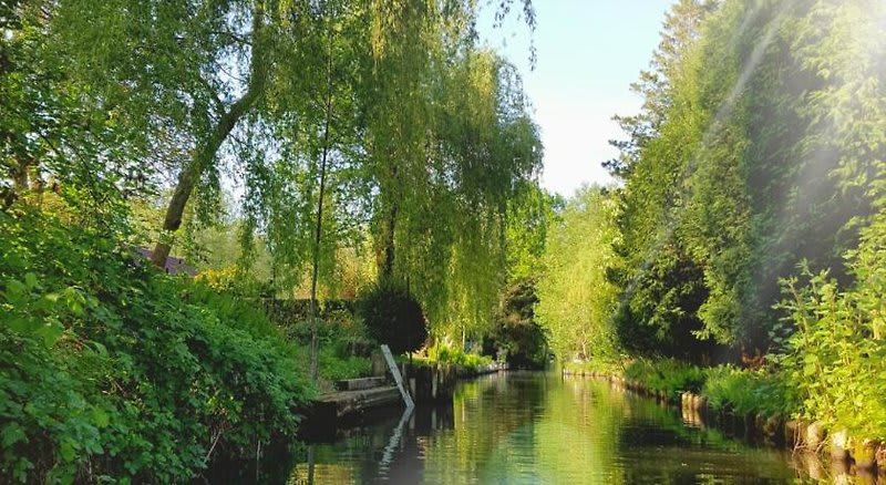 Radlerhof Spreewald 1