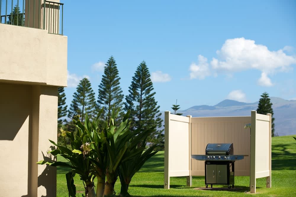 Greens At Waikoloa L101 1