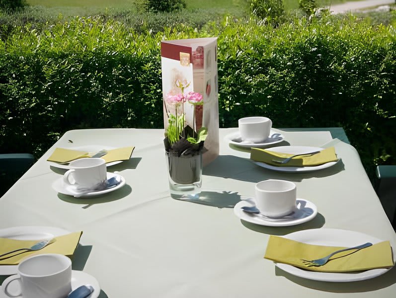 Hotel Elbblick Garni 2