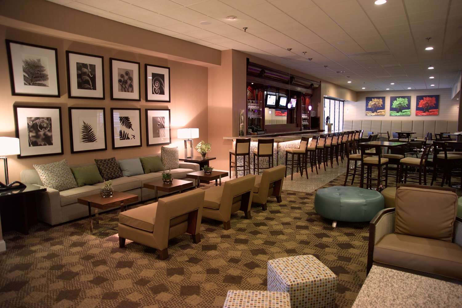 DoubleTree by Hilton St. Louis at Westport 2
