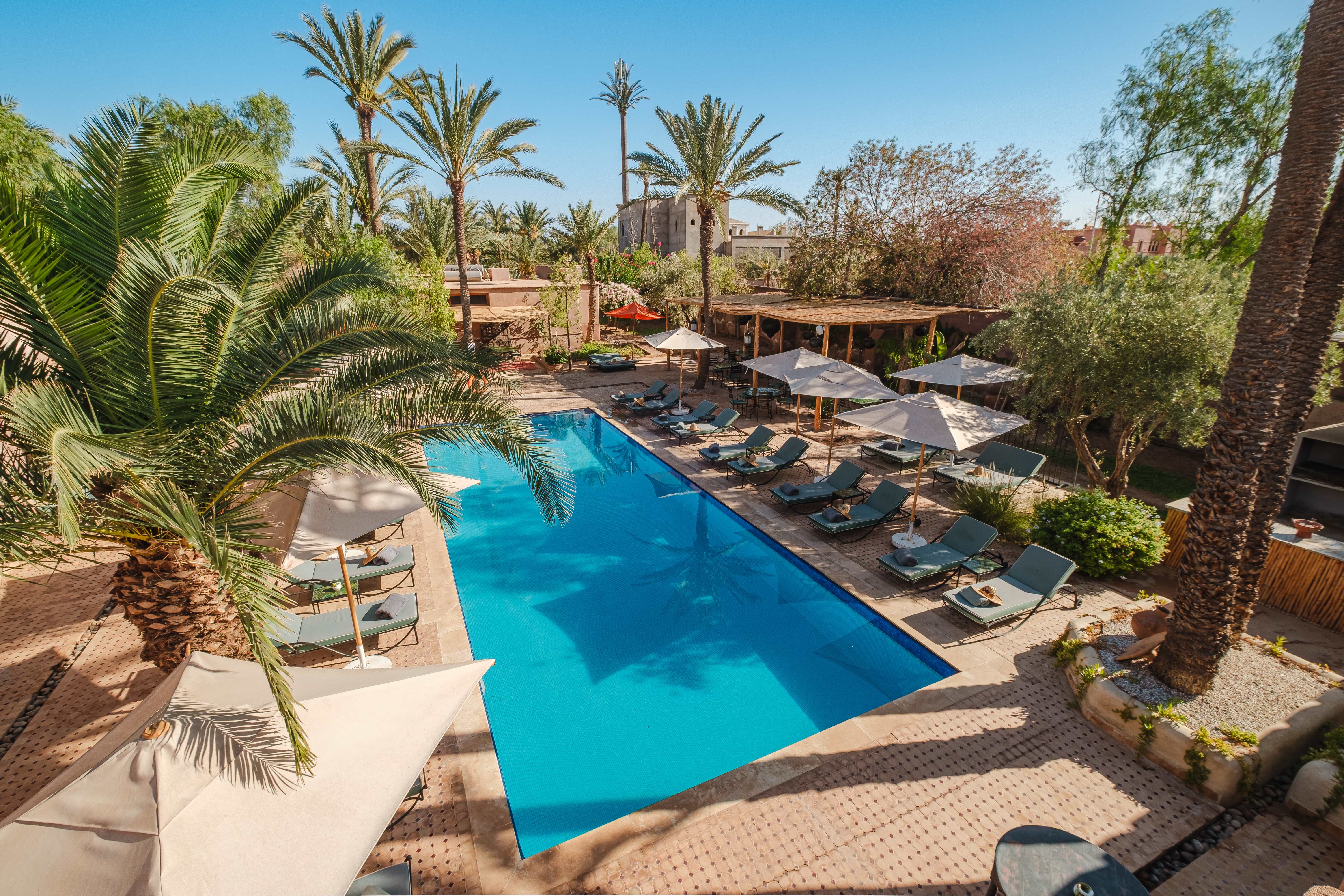 Hôtel Dar 55 - Berber House - Boutique Hôtel & SPA 1