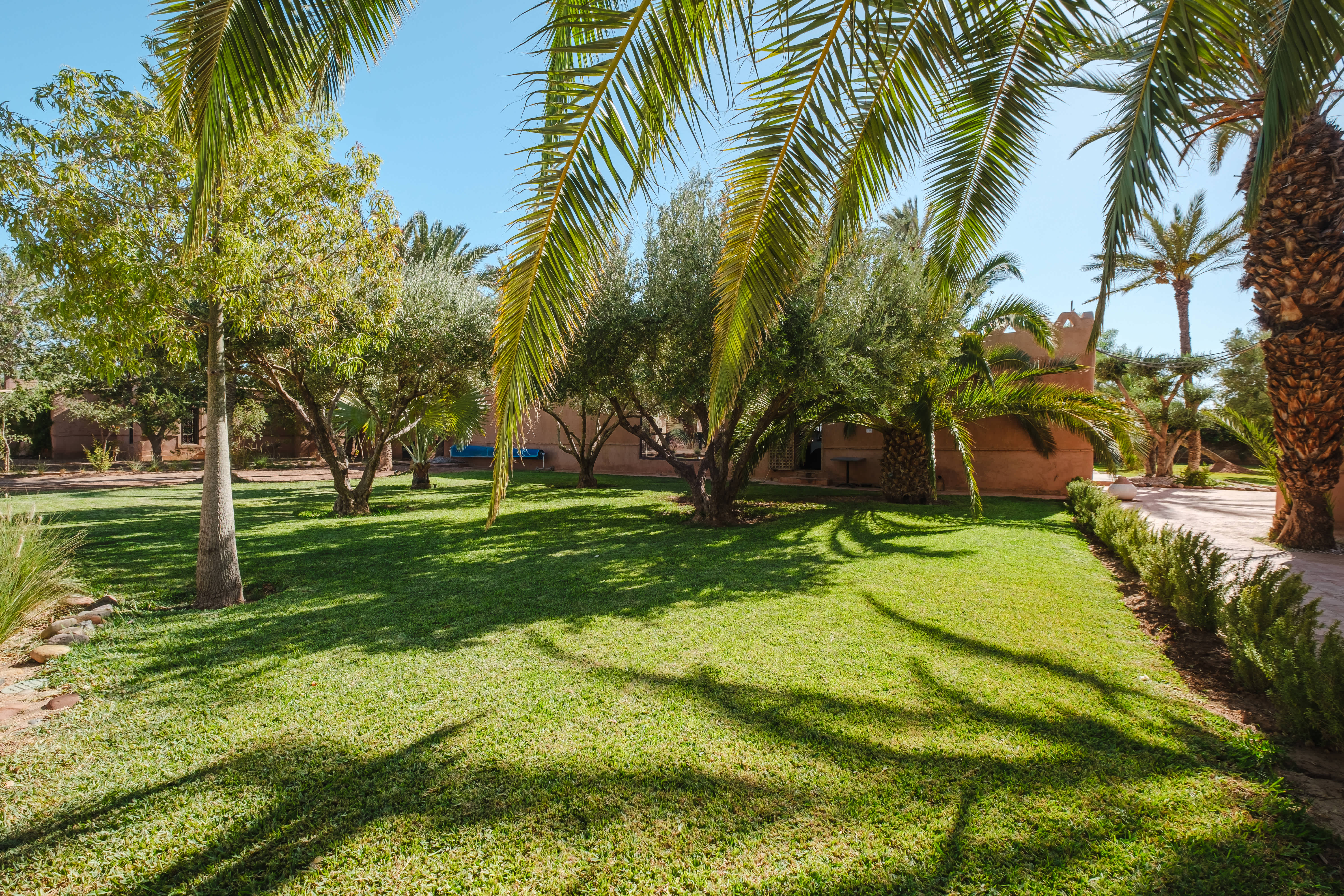 Hôtel Dar 55 - Berber House - Boutique Hôtel & SPA 2