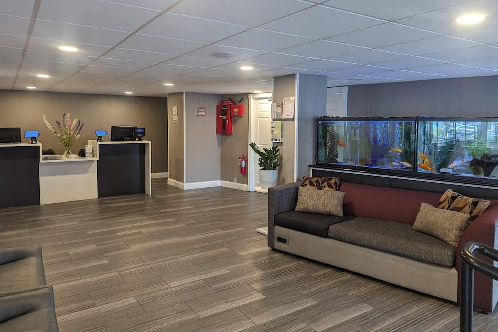 Quality Inn & Suites Northampton - Amherst 1