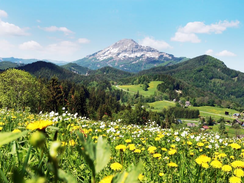 JUFA Hotel Annaberg 1
