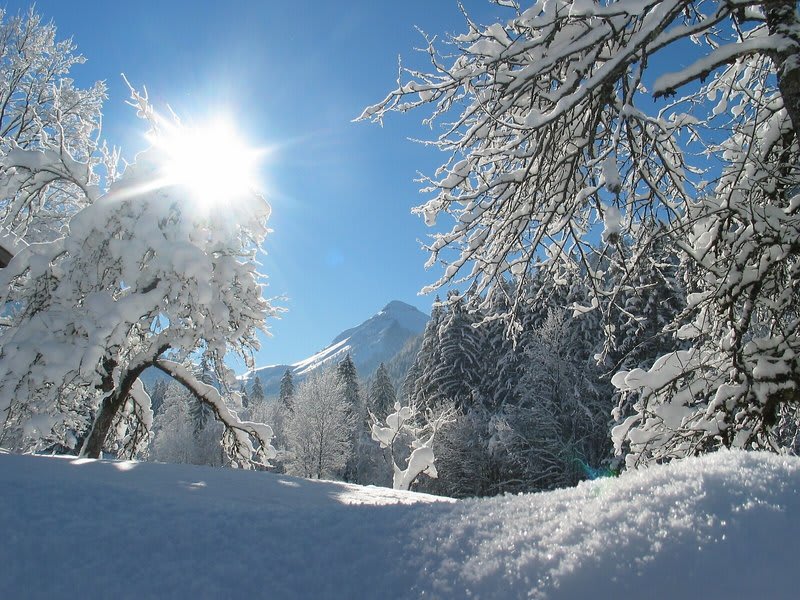 DAS Hintersee 2
