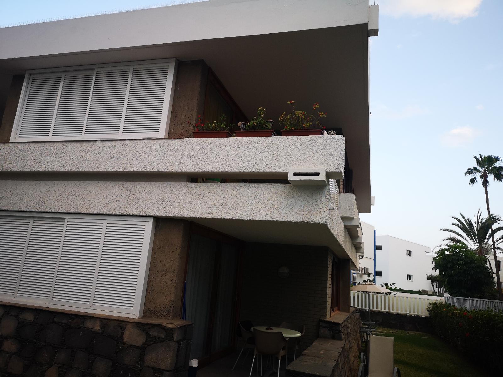 Apartamentos Los Cocoteros 2
