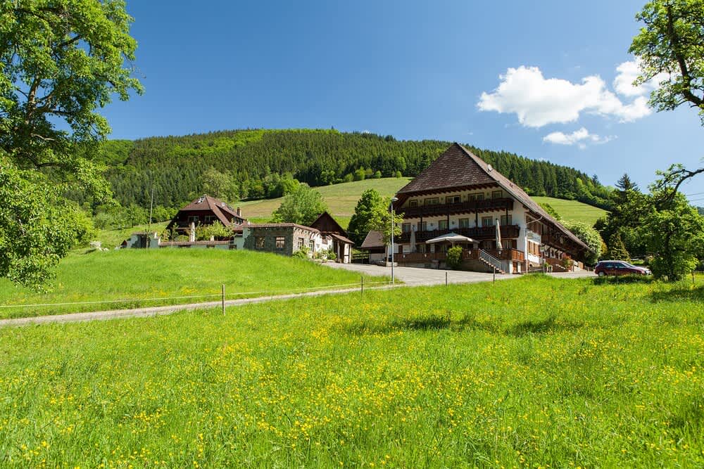 Landgasthaus Grüner Baum 1