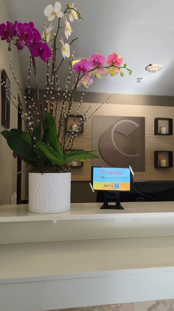 Comfort Inn & Suites 2