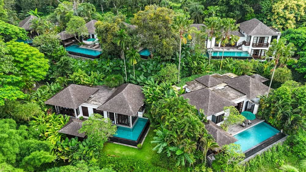 The Damai 1