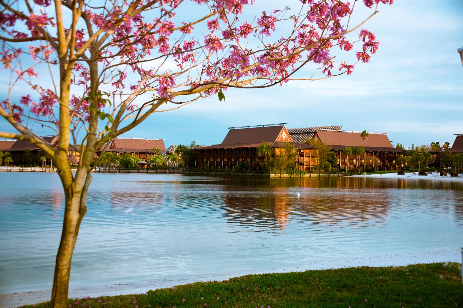 Disney's Polynesian Villas & Bungalows 1