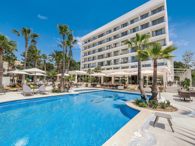 HOTEL PALMIRA CORMORAN 1