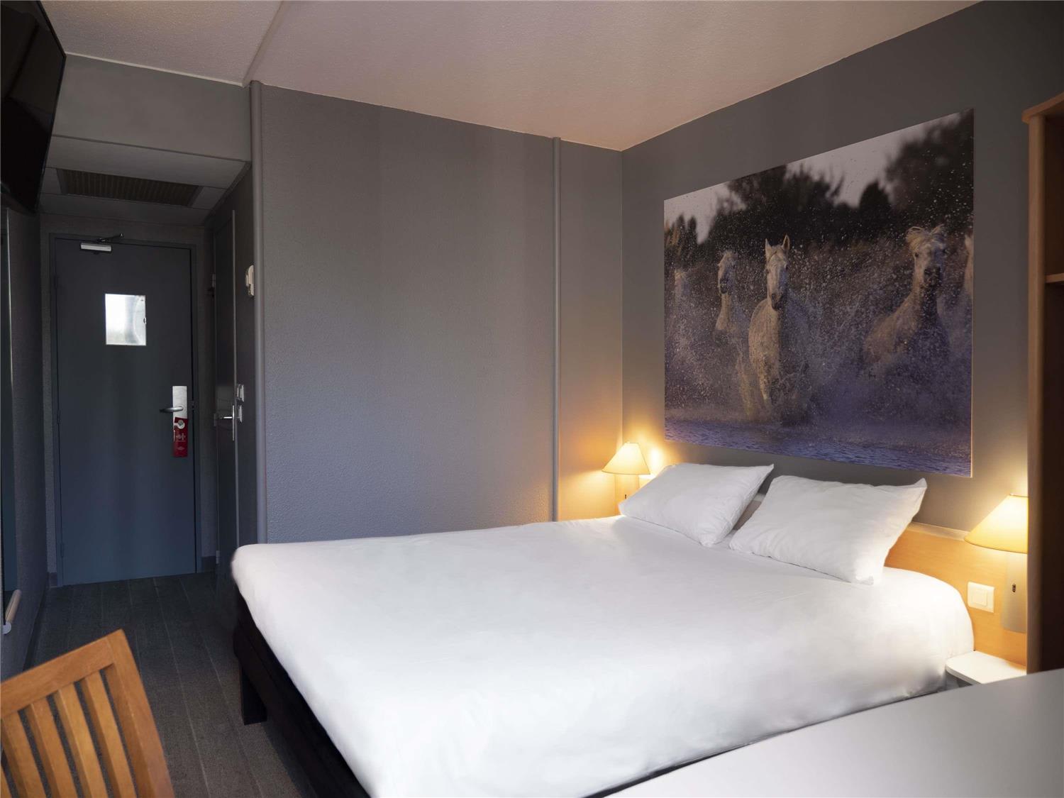 ibis Arles 1