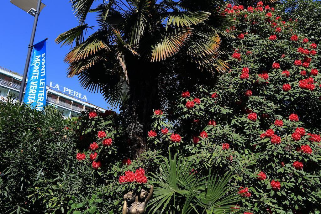 Hotel La Perla 2