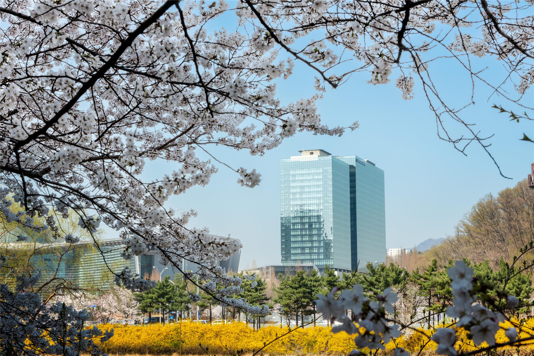 DoubleTree By Hilton Seoul Pangyo Residences 1