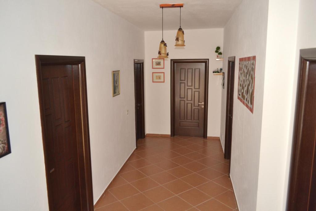 NUOVO SUN 2