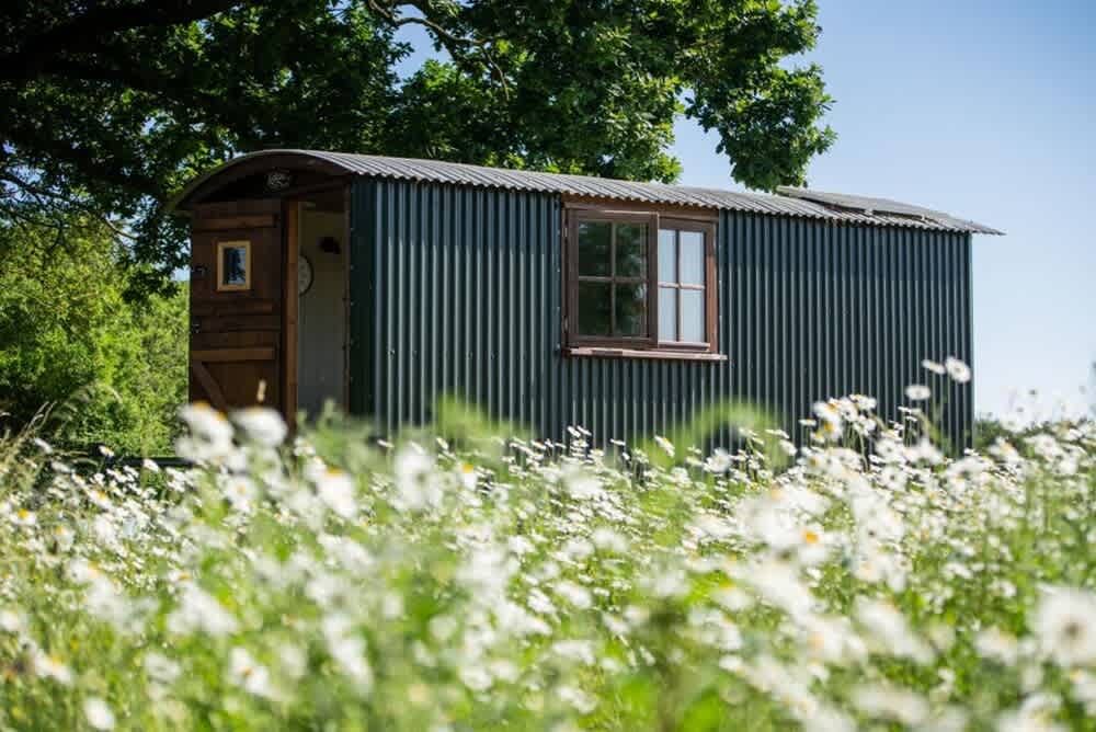 Harbour Ranch Hut - Rustic Countryside Escape 1