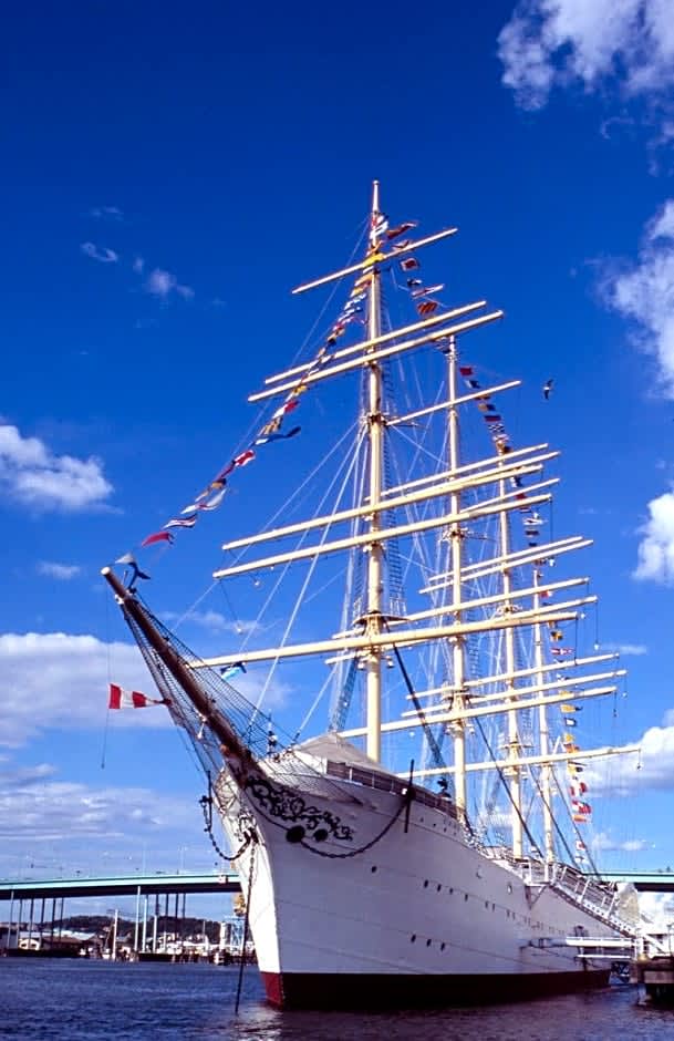 Barken Viking 2