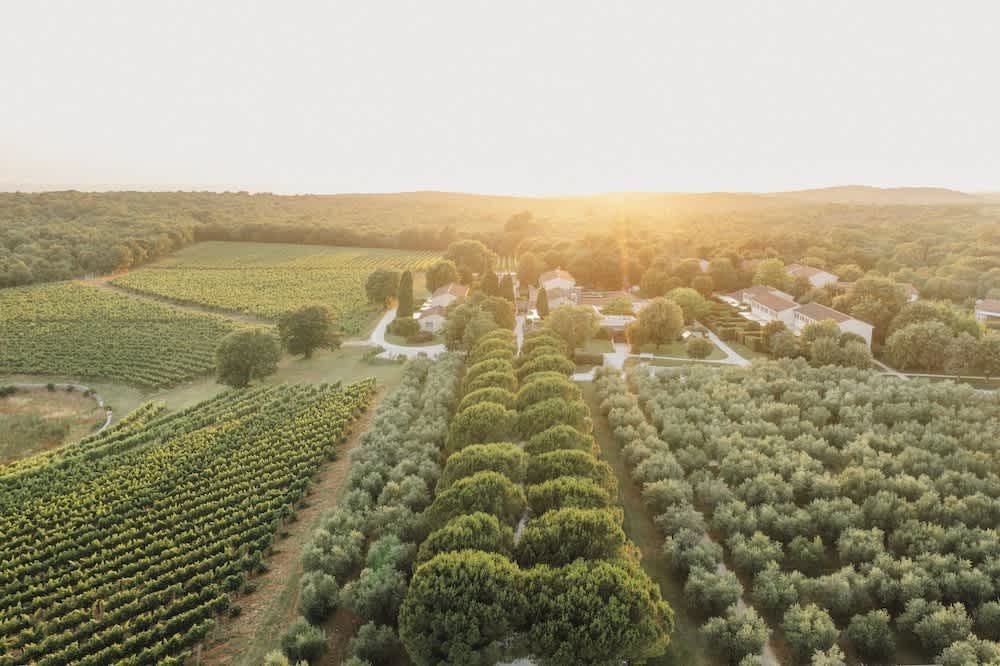 Meneghetti Wine Hotel and Winery - Relais & Chateaux 1