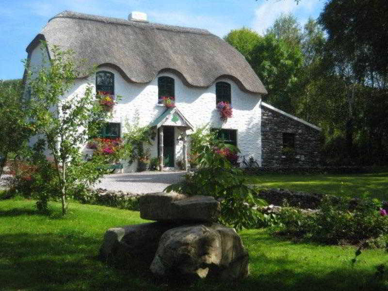 Lissyclearig Thatched Cottage 1