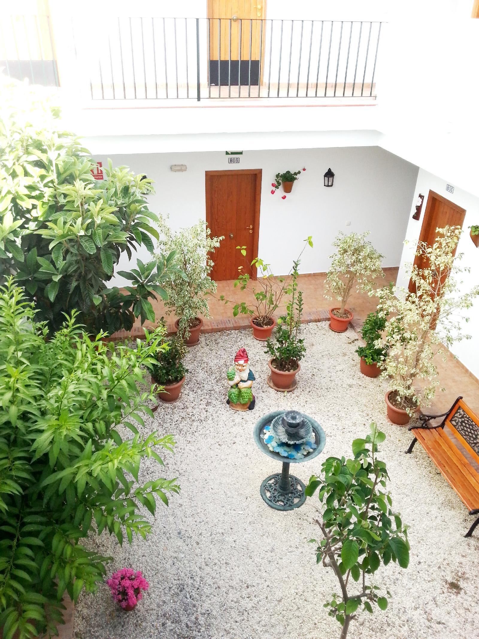Hotel Oasis Atalaya 2