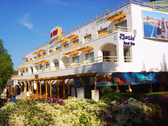 Oonas Dive Club 1
