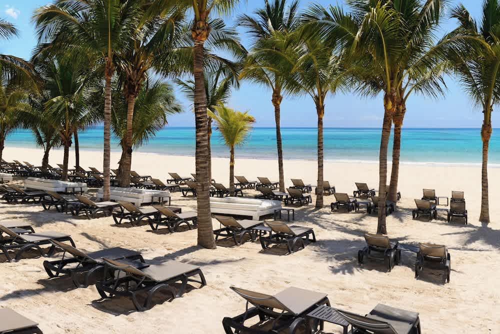 Catalonia Playa Maroma - All Inclusive 1