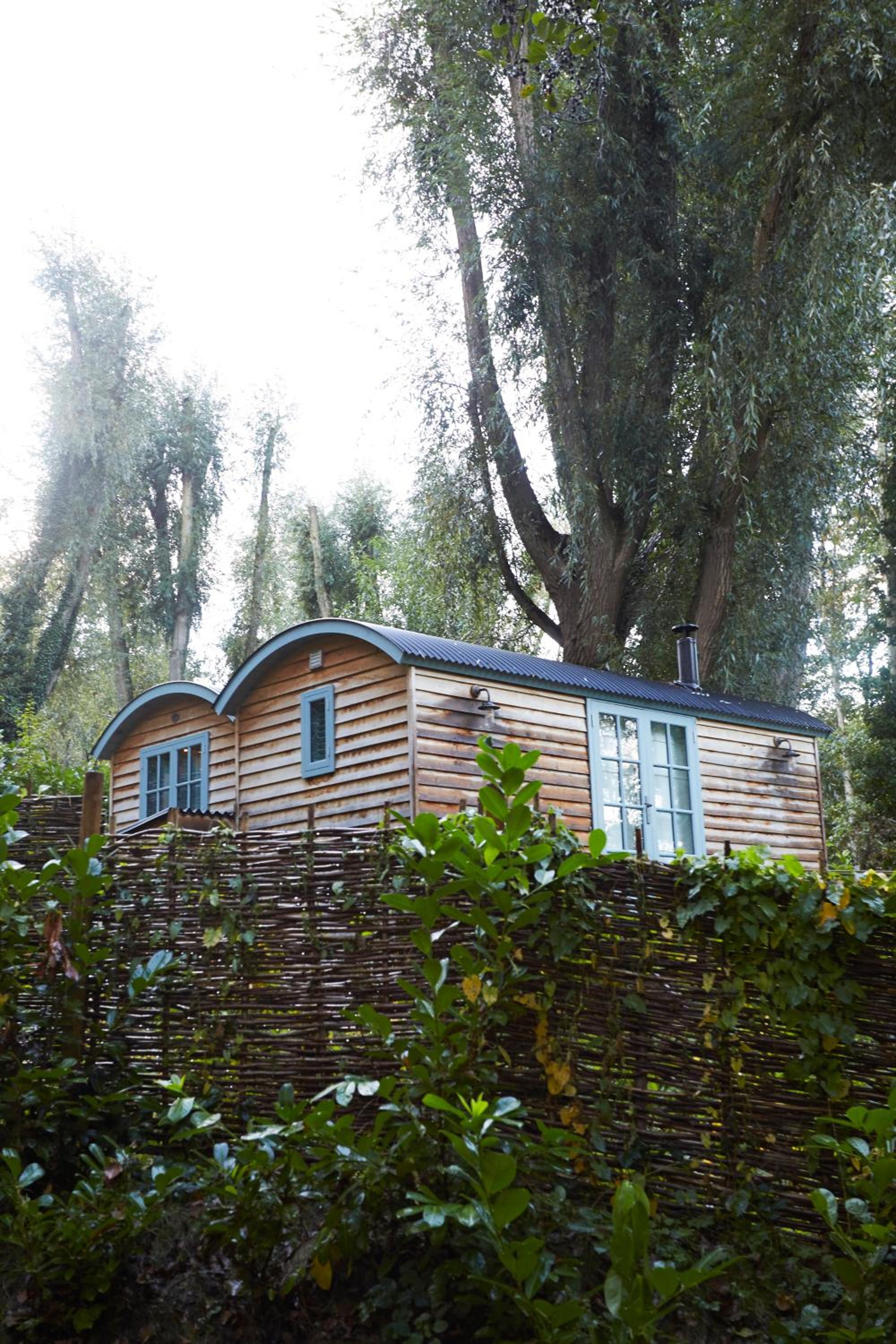 The Fish Hotel 1