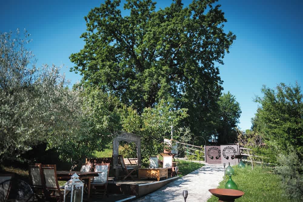 Tenuta Lisetta 1