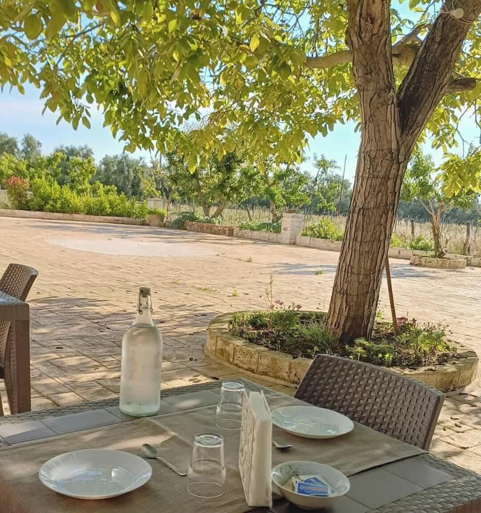 Tenuta Vigna del Noce 1