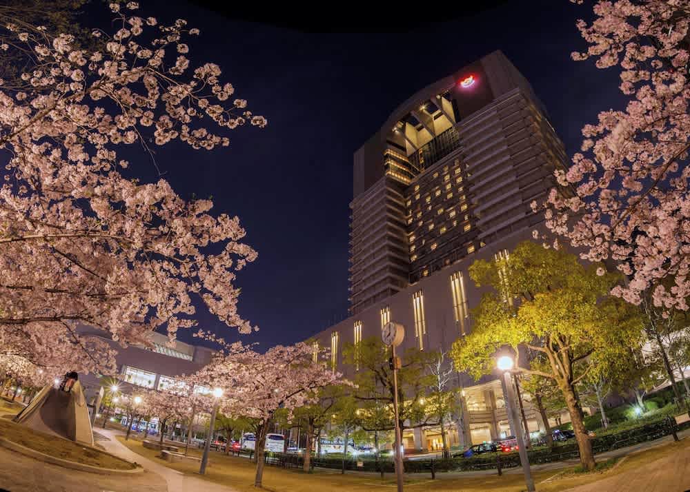 Imperial Hotel Osaka 1