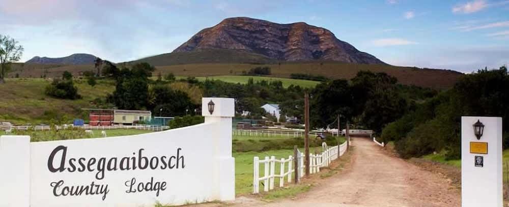 Assegaaibosch Country Lodge 1