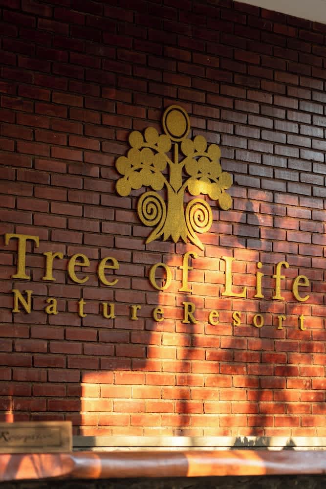 Tree of Life Nature Resort 2