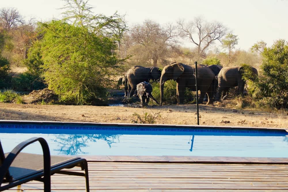 Zazu Private Bush Lodge, Formerly Masodini 1