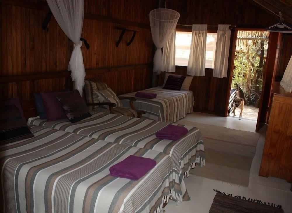 Offbeat Safaris 2