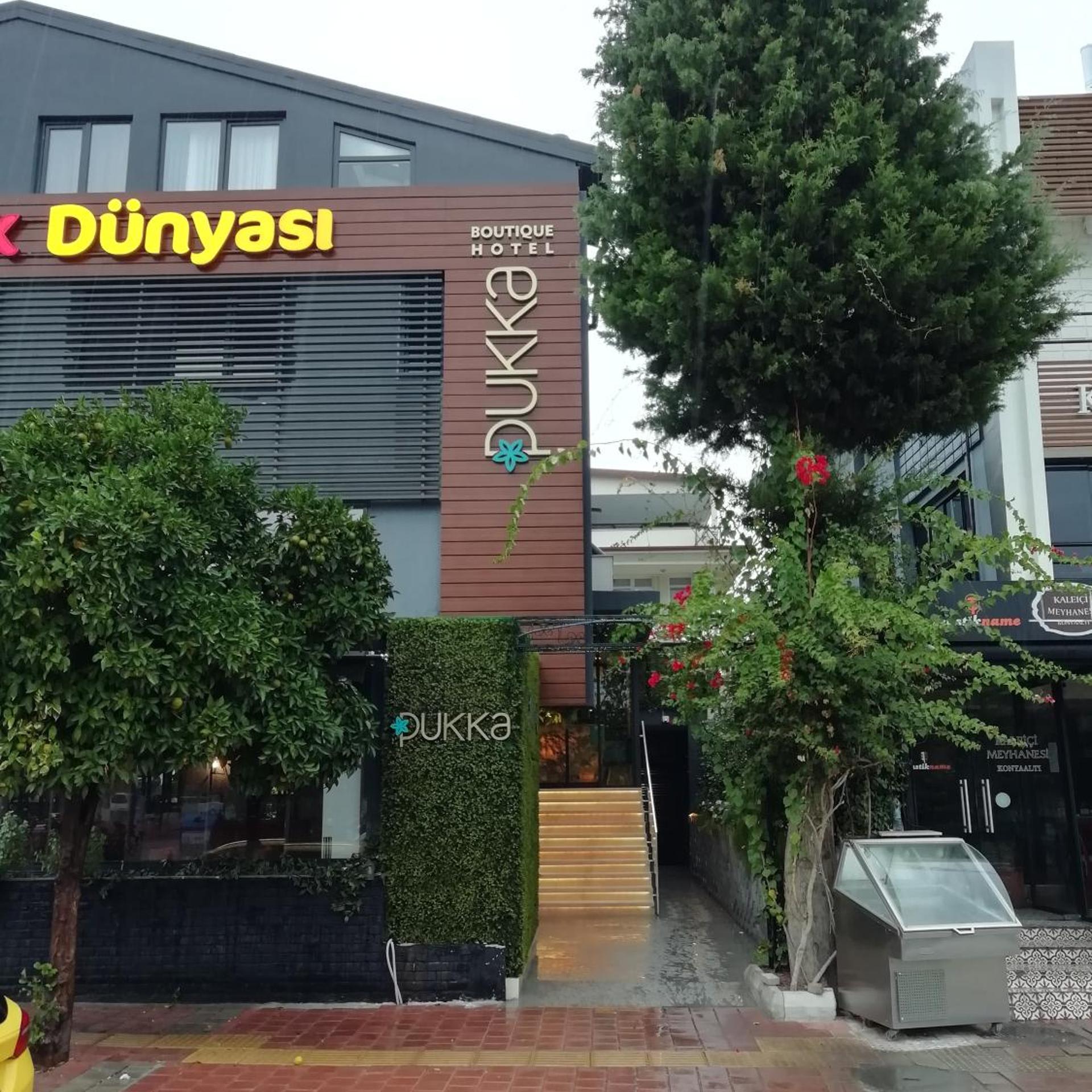 Pukka Hotel 2