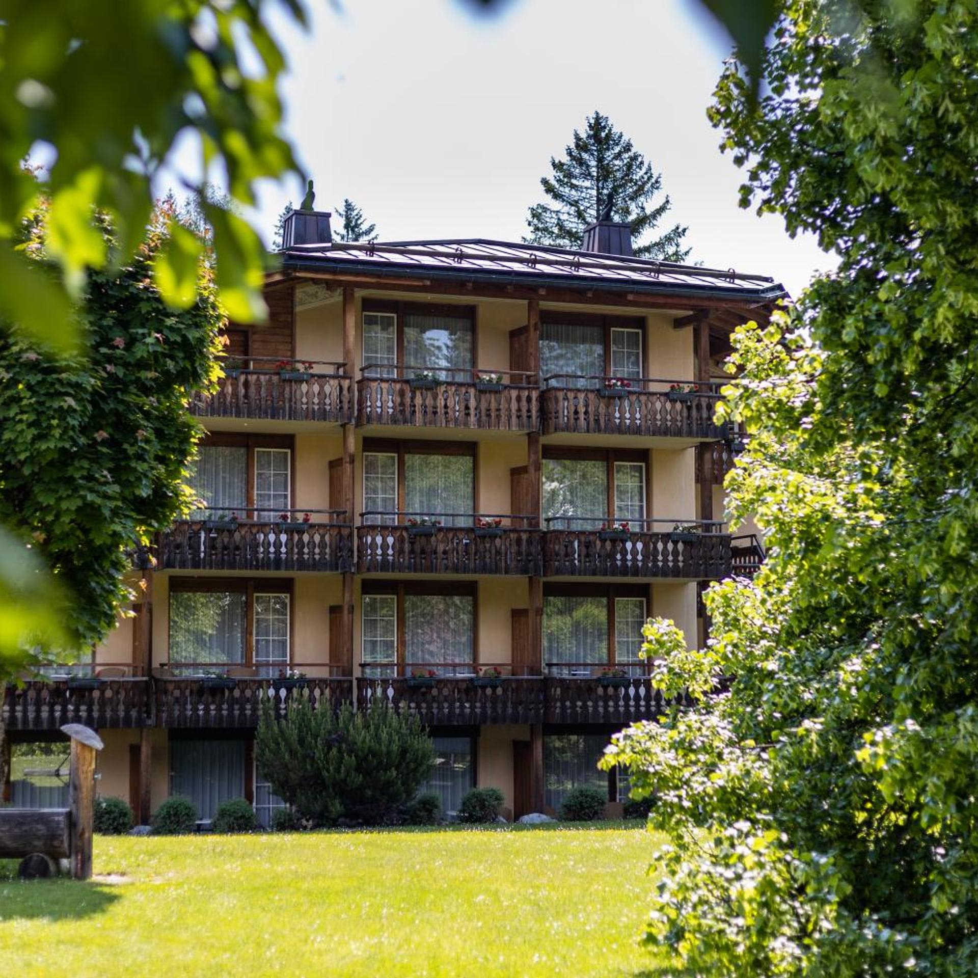 Soldanella by Hotel Adula 1