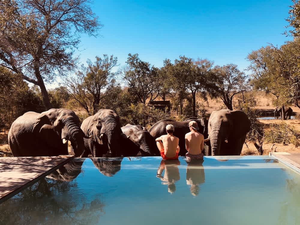 Honeyguide Tented Safari Camp - Khoka Moya 1