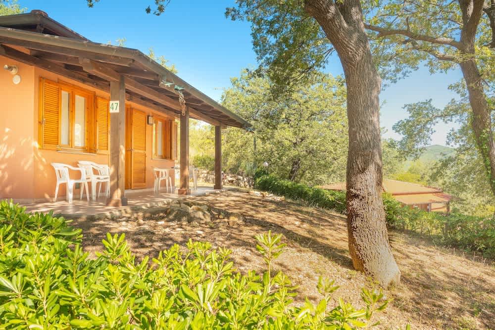 Holiday Complex With Pool in Andora 1