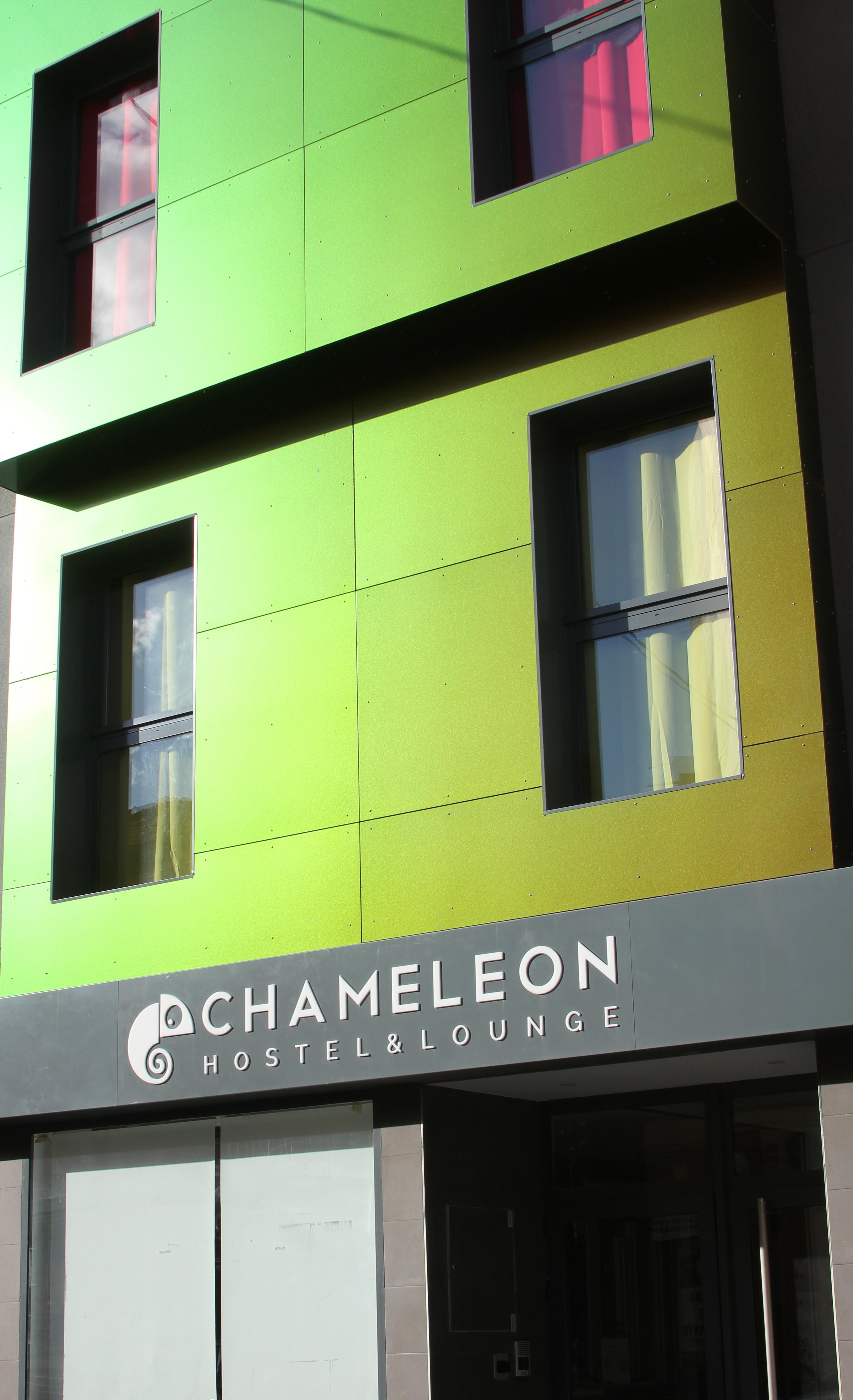 Chameleon Youth Hostel Alicante 1