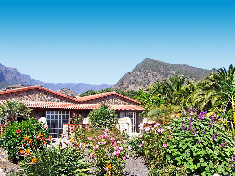 El Palmeral 2