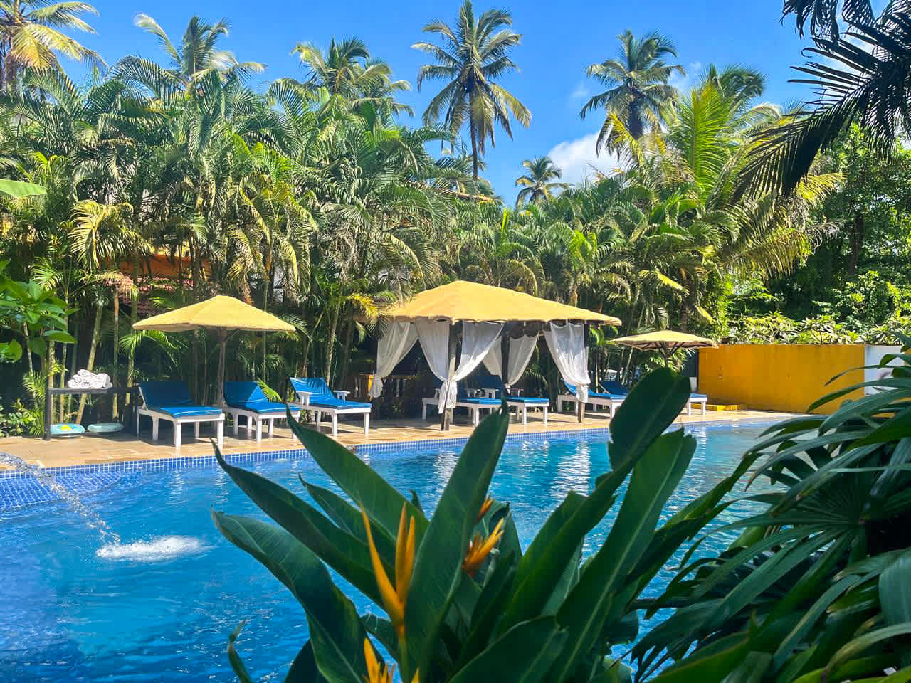 juSTa Morjim Beach Resort Goa 2