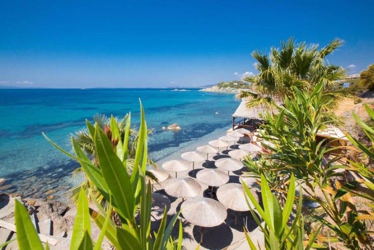 ALEXANDER BEACH HOTEL 1