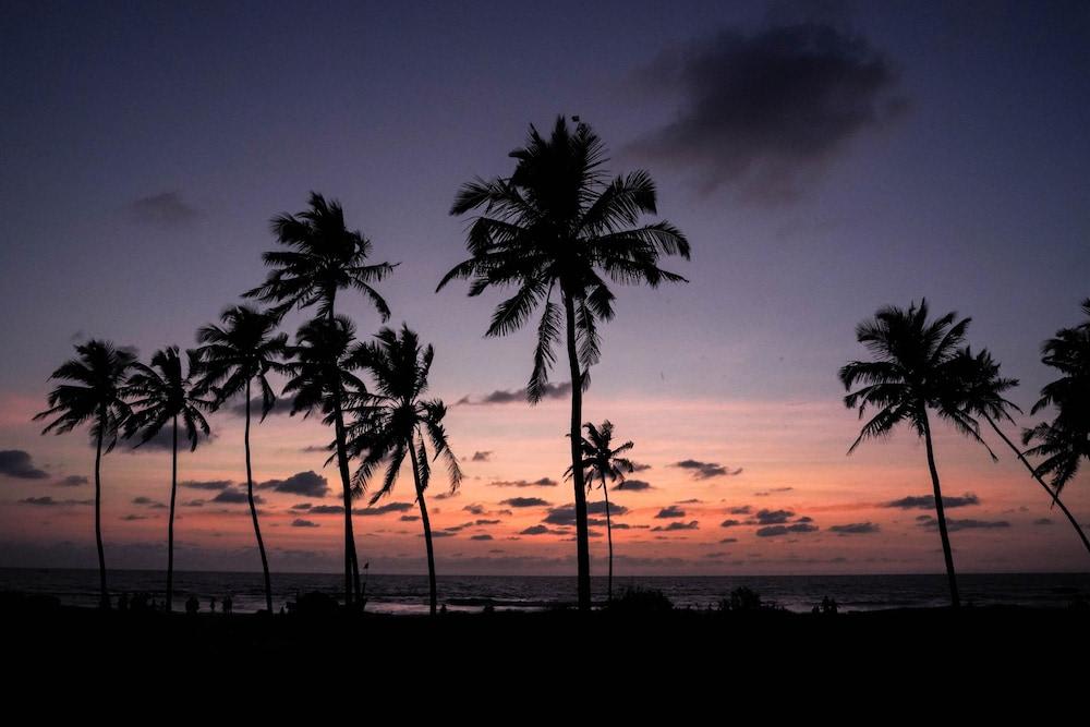 Longuinhos Beach Resort 1