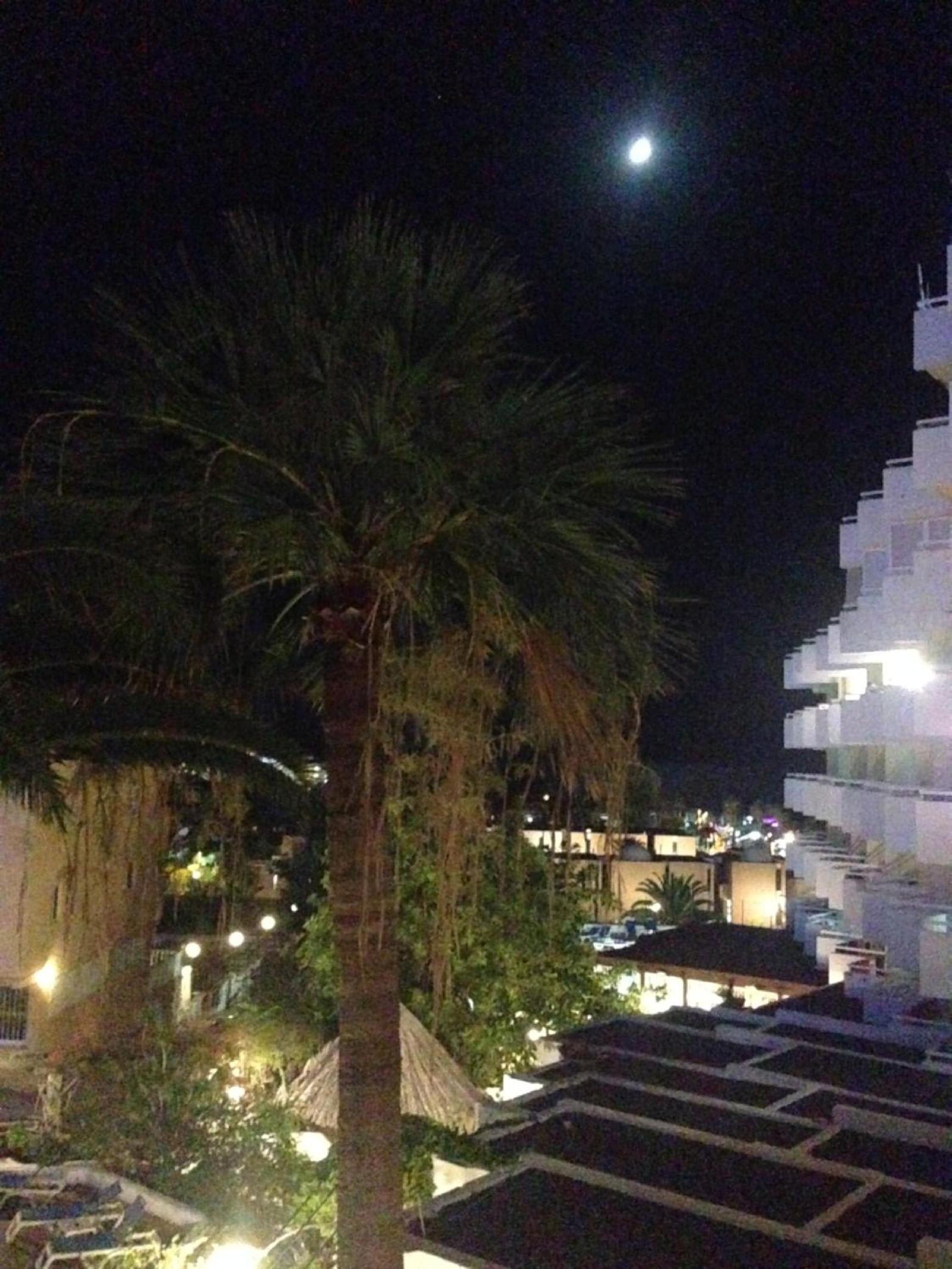 Apart Ponderosa ocean view 1