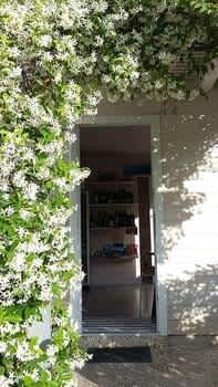 Residence "Le Palme" 2