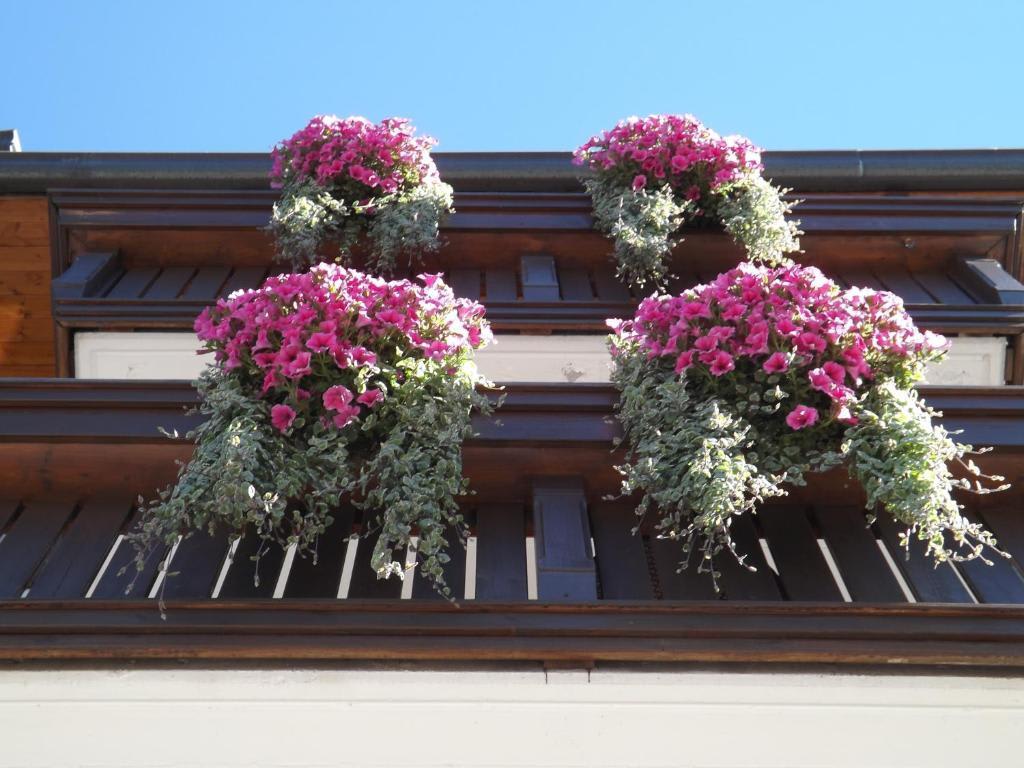 Hotel Irma 2