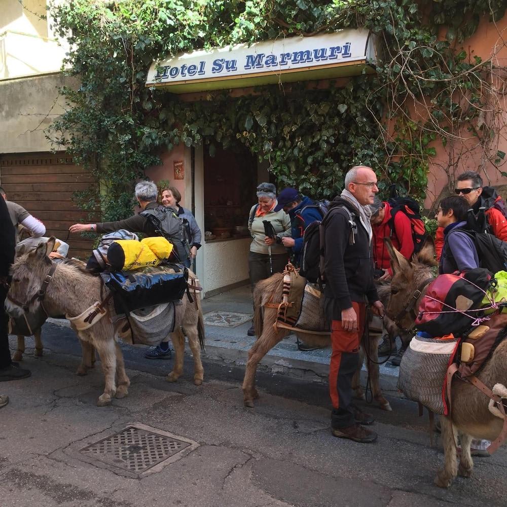 Su Marmuri 2
